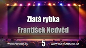 František Nedvěd