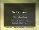 Monika Sommerová, Jakub Hübner