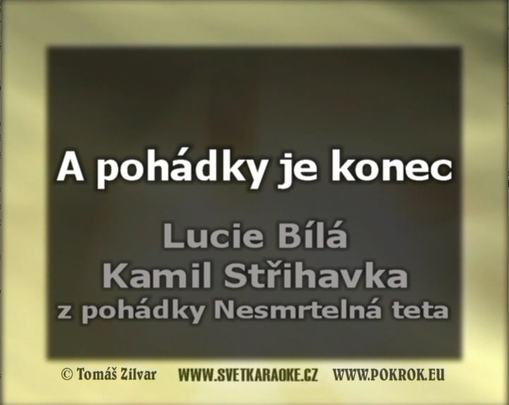 Lucie Bílá, Kamil Střihavka
